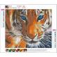 Custom Canvas Wall Art 5D Diy Crystal Homfun Diamond Painting Set Tiger Diamond Paint by number for Amazon