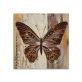 Hand painted Butterfly oil painting wall art Picture on Canvas  Handmade animal Muur for Living Room Home Decoration