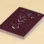 Frosted/Clear PVC Passport （ID CARD） Holder