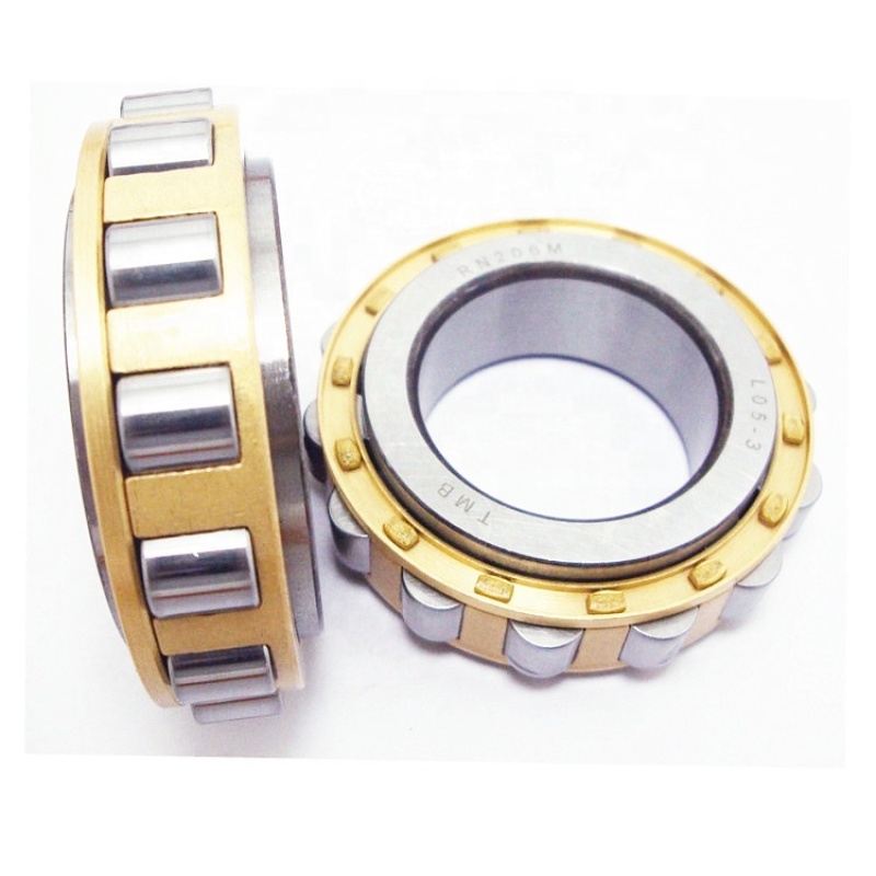 High precision Double Row Agricultural bearing RN206 RN206M Cylinder Roller Bearing