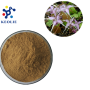 Improve Sexual Time Natural Plant Extract Goat Weed Extarct icariin 10%-98%