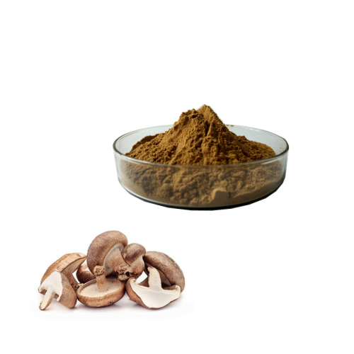 KLl Factory Wholesales Bulk chaga mushroom extract/Mushroom extract powder 10:1 20:1 polysaccharide 30%