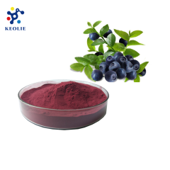 100% Water Soluble Acai berry Brazil Powder /Brazil Acai Berry Extract powder