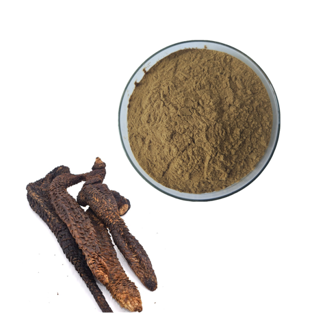 Chinese Kosher Factory herb extract Natural Songaria Cynomorium Herb Extract Herba Cynomorii Extract