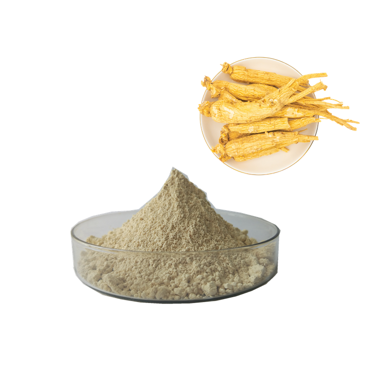Top Quality Panax Ginseng Root Extract from China Factory stock fast deliver