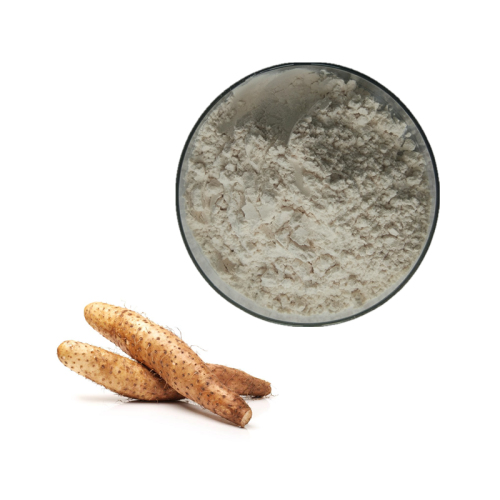 100% Natural Plant Extract Wild Yam Extract Powder Diosgenin 6%