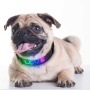 Умное приложение Led Controlled Dog Collar DIY Text Led Dog Collar Дисплей Led Collar