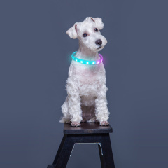 Cool Light UP RGB LED Ошейник для собак Многоцветный светодиодный ошейник для домашних животных Нестандартный размер Мигающий ошейник для собак, светящийся в темноте