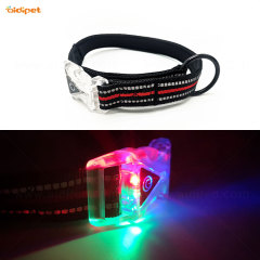Diseño al por mayor USB Puppy Belt Recargable Usb Light Up Led Collar de perro listo para enviar