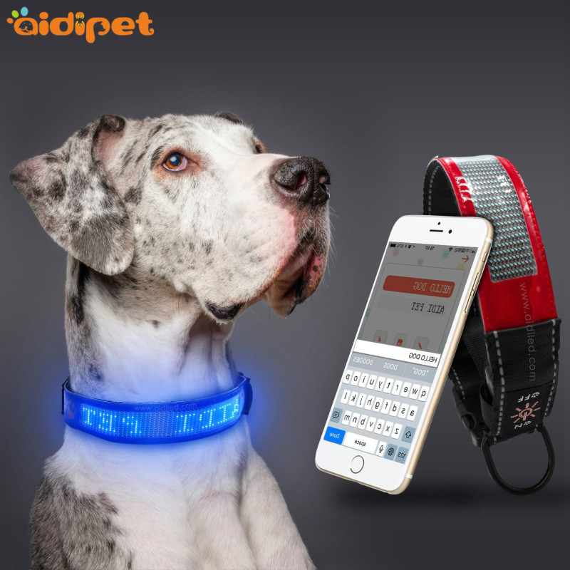 Collar de perro programable Led con pantalla Collar de perro Control de aplicación Anri-lost Led Collar de perro recargable