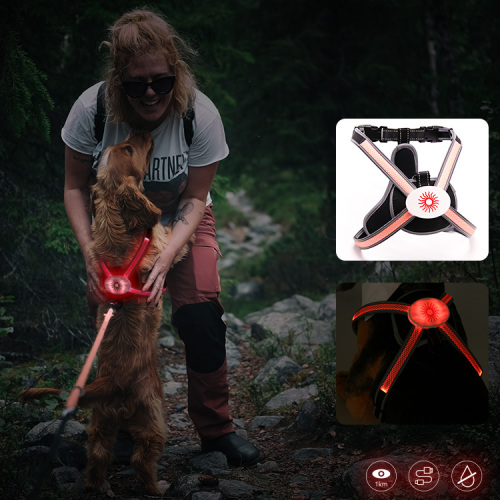 14 Years Manufacturer Led Harness for Dogs RGB Colorful Led Light Harness Vest