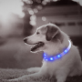 Перезаряжаемый водостойкий светодиодный ошейник для собак в темном цвете Эко-силиконовый ошейник для собак