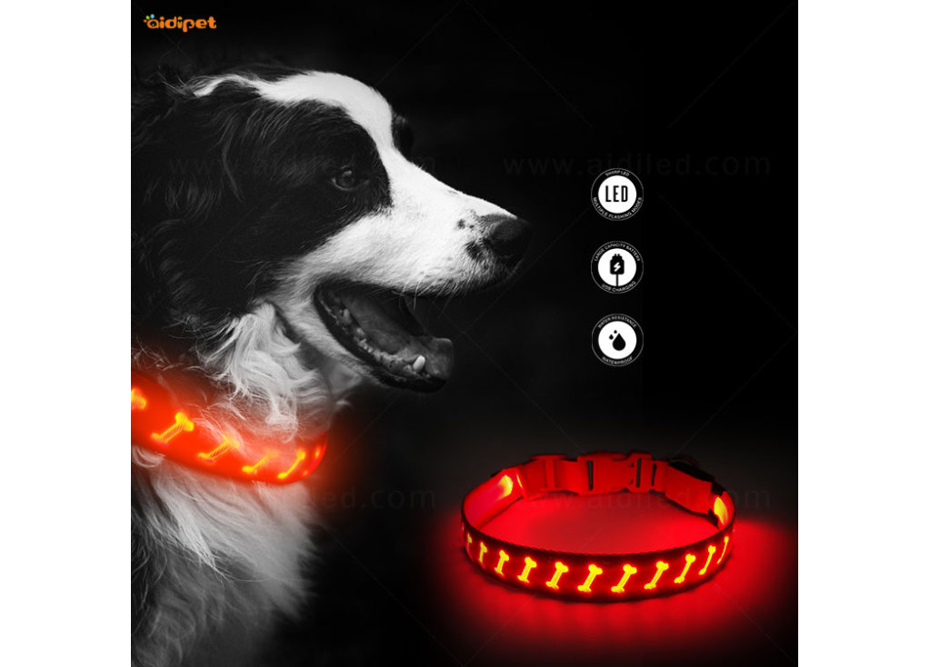Beneficios de usar una luz LED recargable para su collar para mascotas y barras luminosas