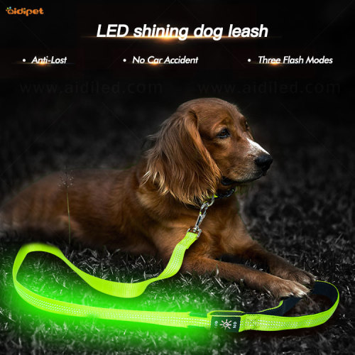 Reflective Stitching Led Dog Leash USB Rechargeable Pet Dog Lead Amazon Selling Led Leash for Dogs