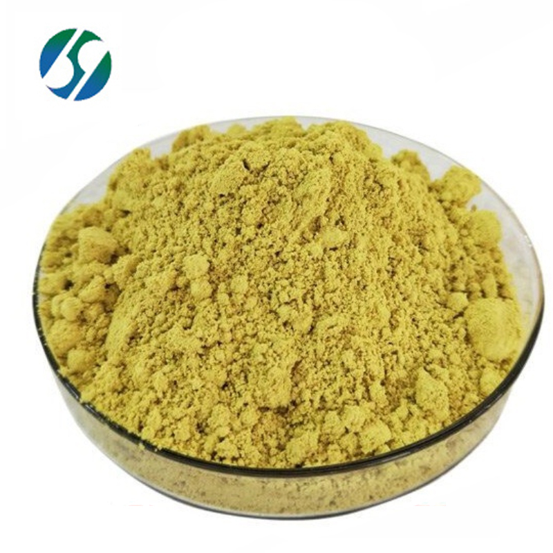 Factory Supply ginger extract / ginger root extract powder / ginger root extract