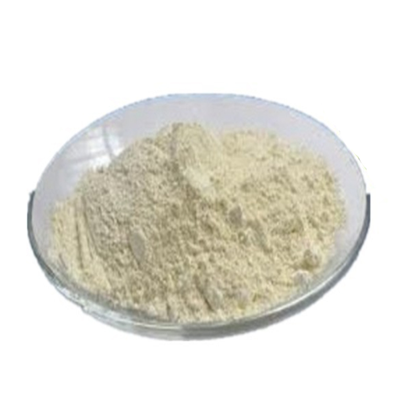 Factory supply high quality Laccase Enzyme with reasonable price