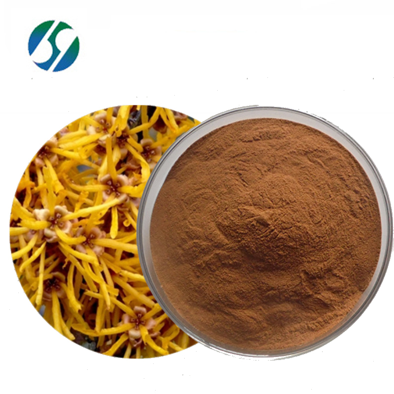 Hot selling high quality witch hazel extract with best price