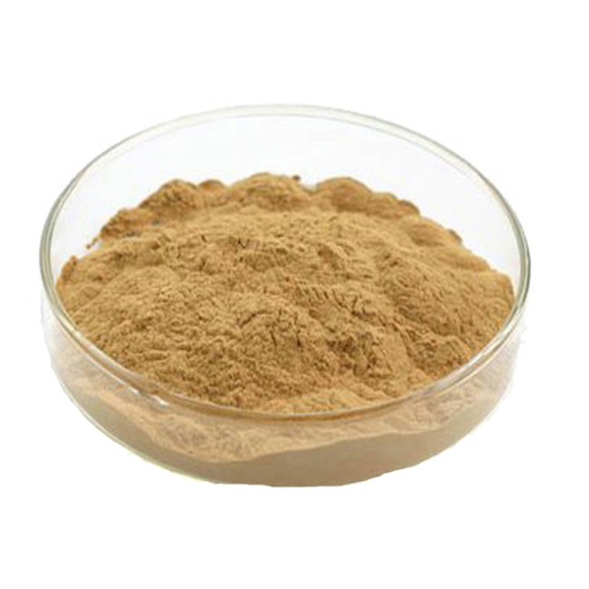Top quality vitamin c water soluble rose hip extract powder