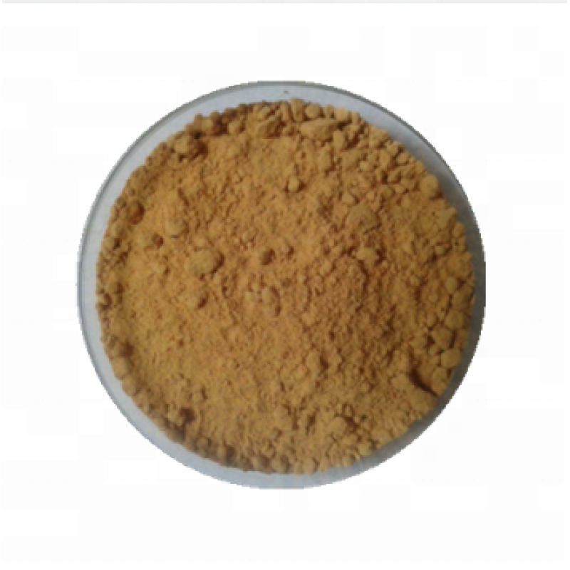 Factory Supply cissus quadrangularis leaf extract 30:1