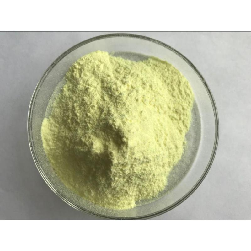 Hot selling Mango Leaf Extract Mangiferin Powder