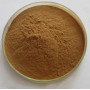 Factory Supply galangal extract  powder with best price