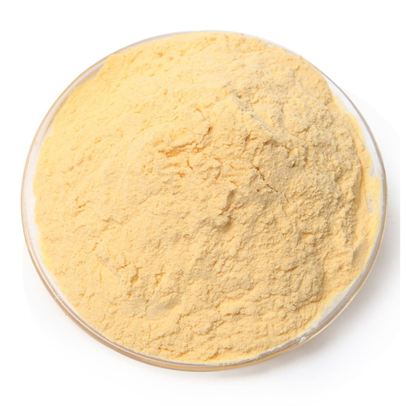 100% Pure natural food supplement papaya powder , papaya seed powder