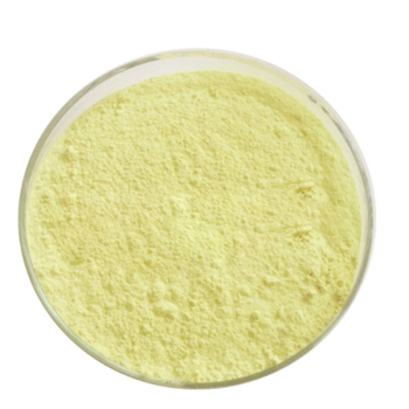 Factory Supply Pure Natural Celery Seed Extract Powder 98% Apigenin