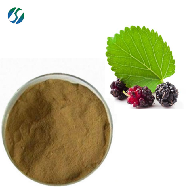 Natural (DNJ)100% water soluble mulberry leaf extract 19130-96-2 with 1-Deoxynojirimycin for hot selling !