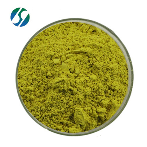 Factory supply 95% 98% quercetin dihydrate with CAS 117-39-5