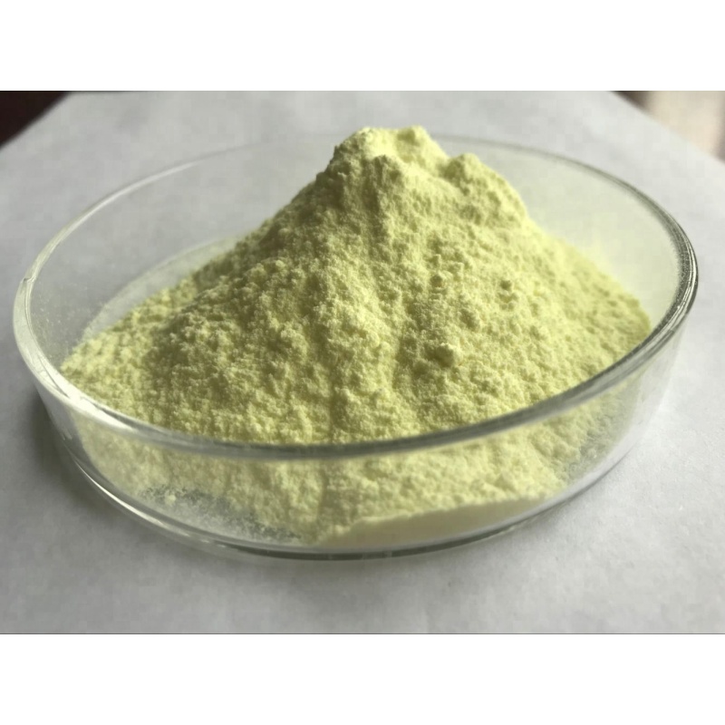 Hot selling Mango Leaf Extract Mangiferin Powder