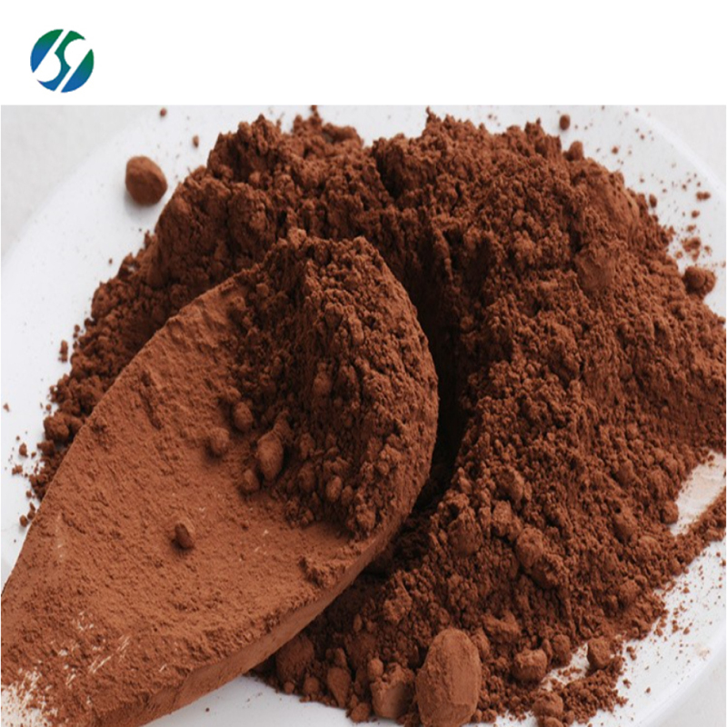Food additive Natural Pure  cocoa bean extract powder cocoa extract