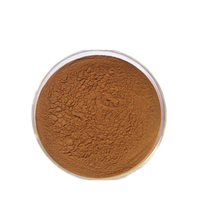 Factory Supply black truffle powder  with best price
