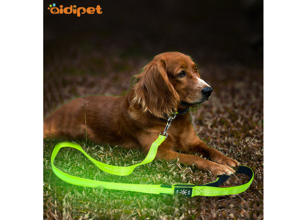 LED Dog Rope