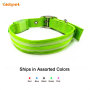 Personalized Dog Collar Safety Accessories Nylon USB Rechargeable Led Dog Collar Flashing Pet Supplies Light Collar Dog