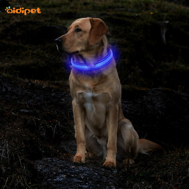 Mesh Nylon Reflective Stitch USB Charge Dog Collar Safety Led Flashing Pet Dog Collar Light