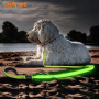 Cheap Price Factory Made Led Dog Leash Collar Light up USB Rechargeable Night Safety Fashion Leash Lead
