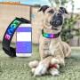 Factory Best Selling Products Safety Collar Usb Led Flashing Leather Print Dog Collar