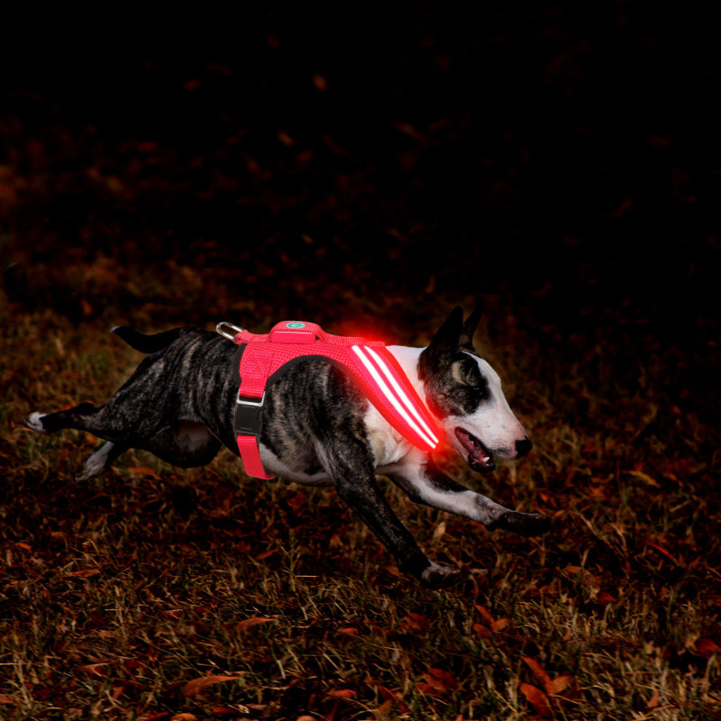 Nylon Mesh Flashing Light up Dog Harness Vest Replaceable CR032 Supported Luminous Dog Harness