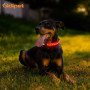 Cool Classic PU Leather Hollow Printing Led Dog Collar for Night Safety USB Rechargeable Luminous Collar