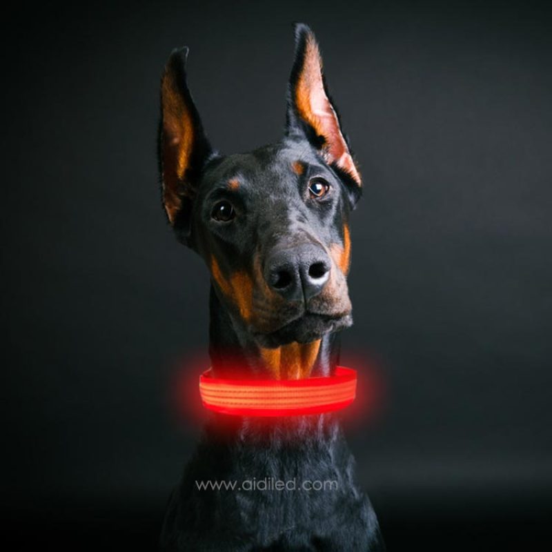 Led Dog Collar Light USB Rechargeable Flashing Lights Reflective Dog Collars Glowing in Dark Make Pets Safe