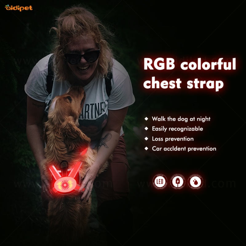 2021 Fashion  Usb Rechargeable Pet Harness Adjustable Dog Harness Leash Safety Vest with RGB Light
