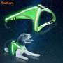 Wholesale Pet Night Safety Vest LED Dog Harness Wholesale USB Rechargeable Dog Harness Vest