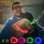 Free Size Led Glow TPU Dog Collar Necklace Good Price Pet Flashing Collar Light Luminous Led Rechargeable Dog Collar