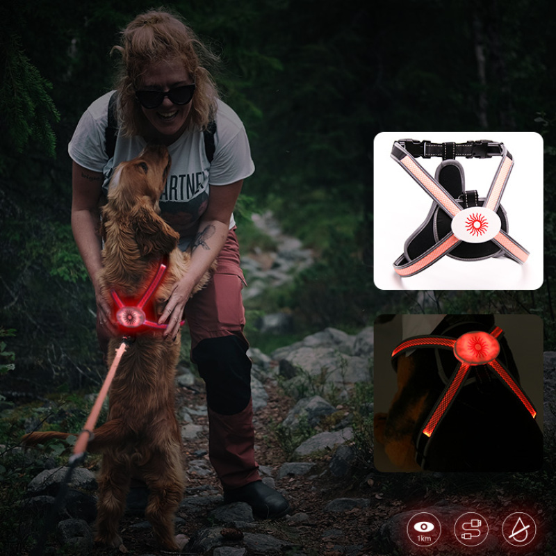 2022 RGB Multi-color Light Led Dog Harness Color Changing Safety Pet Harness USB Rechargeable Dog Harness