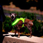 2021 Fashion Attractive Design Dog Harness with Led Optical Fibers Pet Dog Harness Light