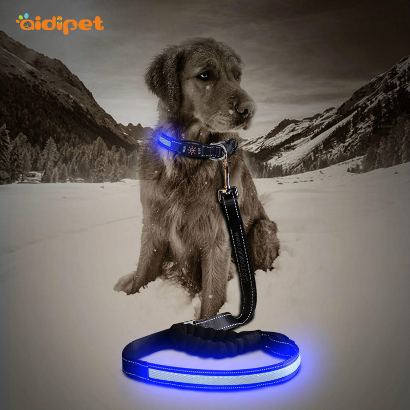 Wholesale Amazon Selling  Flashing Light up Dog Lead Leash with Led 2021 Trending Dog Leash Glow
