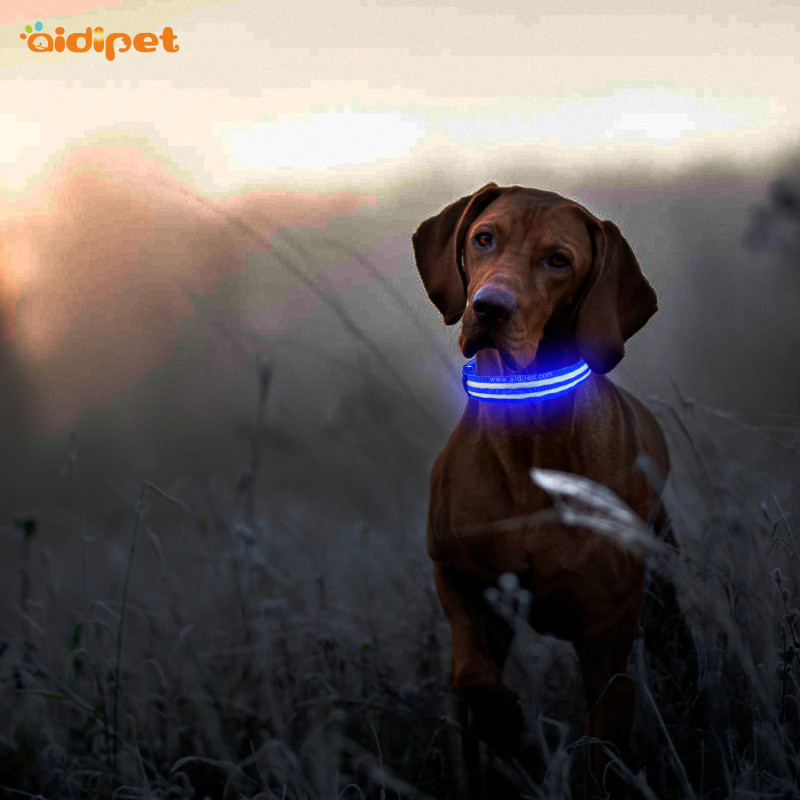 Led Dog Collar Battery Flashing Metal Buckle Light Pet Dog Collar Adjustable Luminous Dog Collar Led Para Mascotas