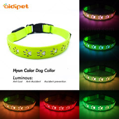 2019 NEW Arrival Led Dog Collar and Leash Hollow Pattern Rechargeable Led Collar for Dog