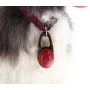 New Fashion Led Dog Collar Pendant Tag Light Night Safety Pet Dog Guide Waterproof Outdoor Light Led Dog Accessories