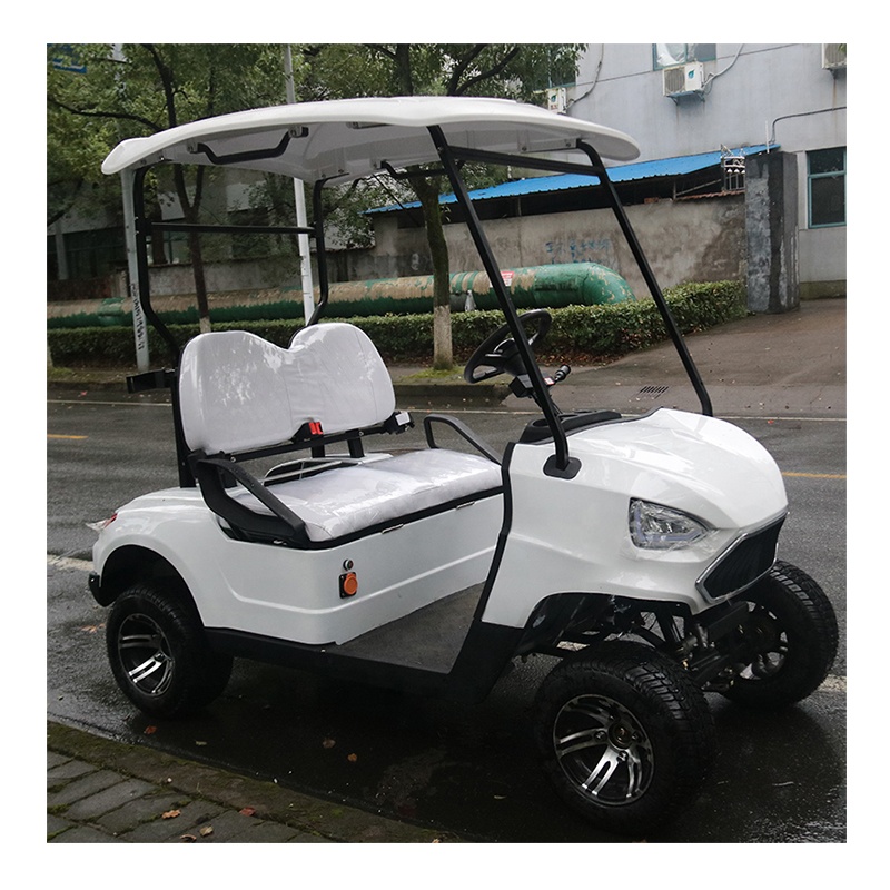 Wholesale High Quality Lithium Battery Powered 4 Wheel Drive 2